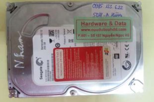 cứu dữ liệu Seagate 250GB