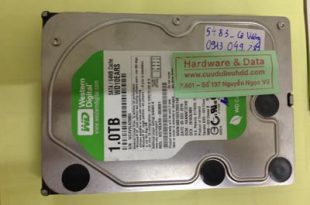 Phục hồi dữ liệu ổ cứng Western 1TB đầu từ lỗi