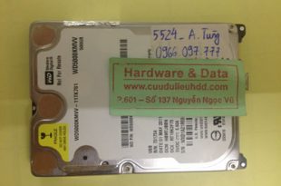 Cứu dữ liệu ổ cứng Western 500GB đầu từ lỗi