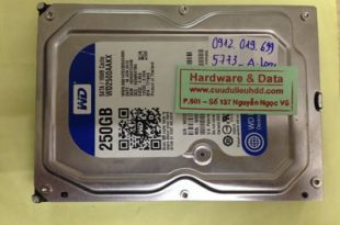 Cứu dữ liệu ổ cứng Western 250GB