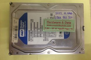 Phục hồi dữ liệu ổ cứng Western 500GB