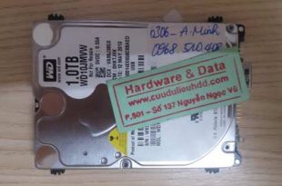 cứu data HDD Western 1TB