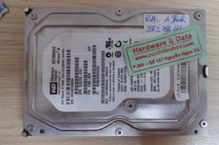 Recover dữ liệu HDD Wester 160 GB