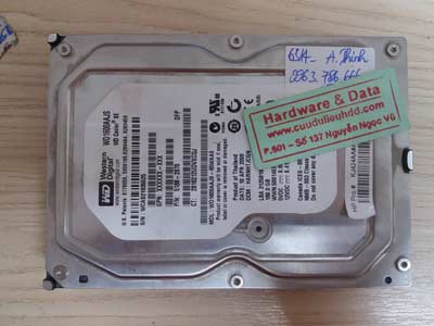 Recover dữ liệu HDD Wester 160 GB