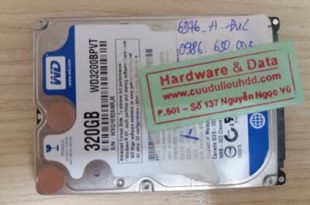 Lấy lại data-WD-320GB