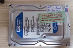 Lây lại dữ liệu -WD500GB