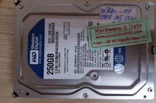 recover dữ liệu WD250GB