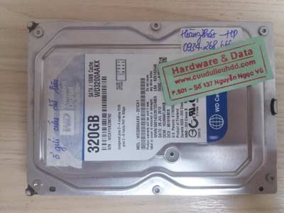 recover data Western 320GB