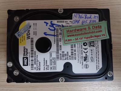 recover data wernter 40GB