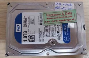 cứu dữ liệu-Western-1TB