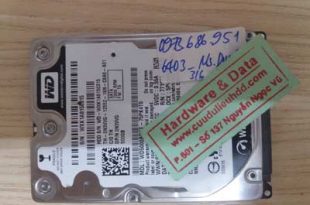 Cứu dữ liệu WD 500 GB