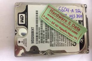 Recover data-Western 320GB