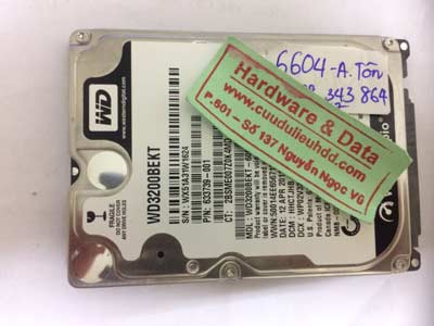 Recover data-Western 320GB