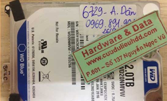 o-cung-western-hong-dau-tu