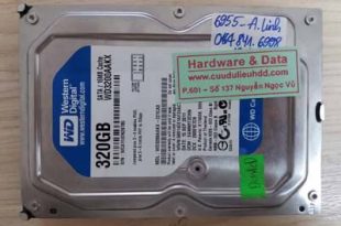 6955 ổ HDD Western 320GB bị chết cơ