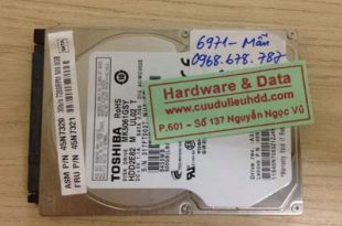 6971 ô cứng Western 500GB hỏng đầu từ