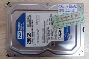 7069 ổ cứng PC western 250GB hỏng đầu từ