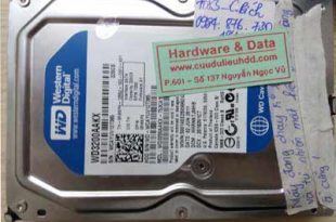 7083 HDD Western 320GB bị lỗi đầu từ