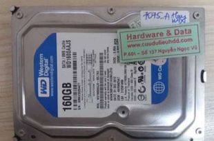 7075 ổ cứng Western 160GB bị hỏng cơ