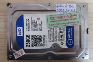 7116 ổ cứng western 250GB bị chết cơ