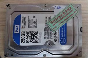 29-12 Western 250GB chết cơ