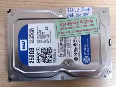 7371 Western 250GB đầu từ lỗi