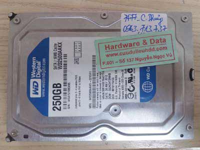 7477 Western 250GB hỏng đầu từ